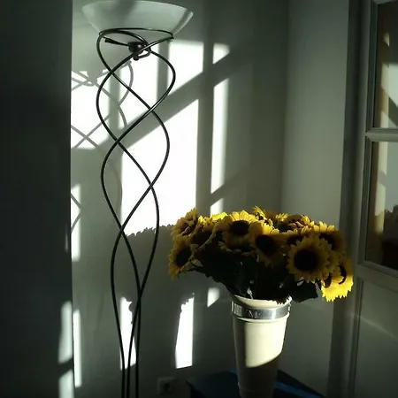 Germania Buege Apartmán *